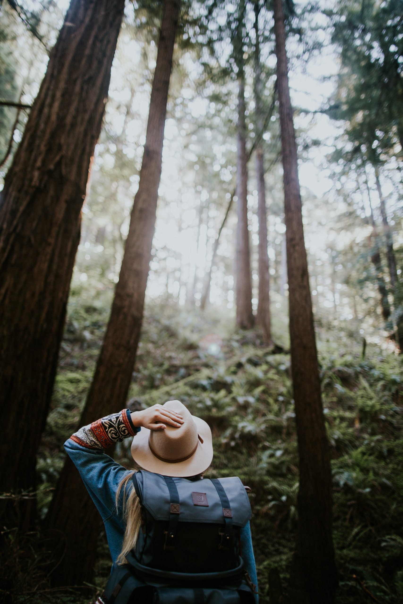 ivana-cajina-9GzNq7zuMf4-unsplash